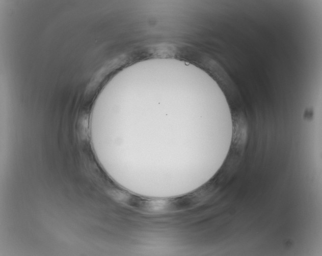 X0000113620717200909181116