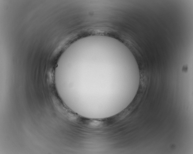 X0000113620718200909181116