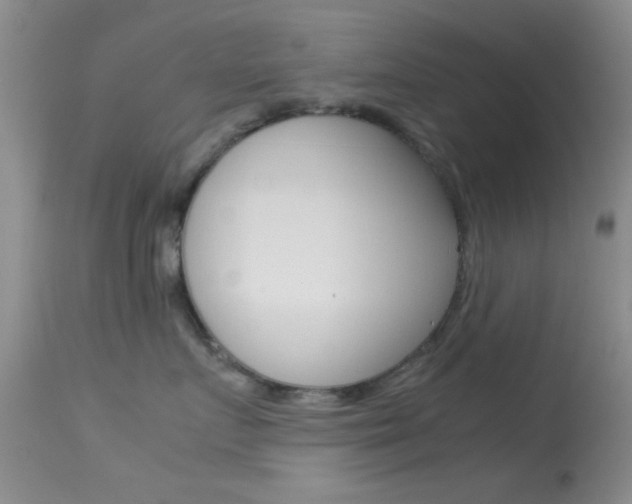 X0000113620719200909181116