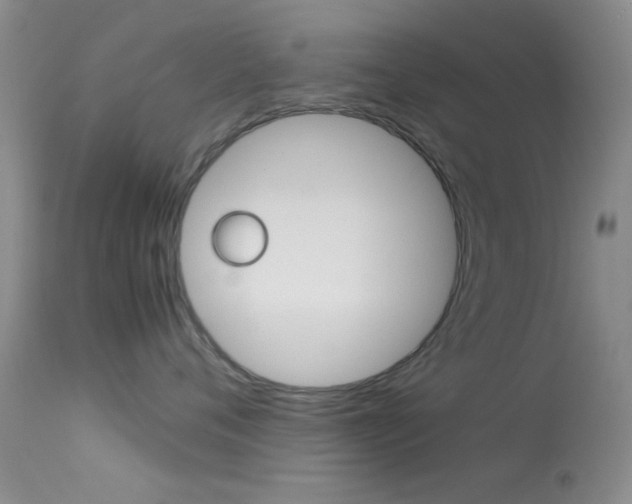 X0000113620720200909181116