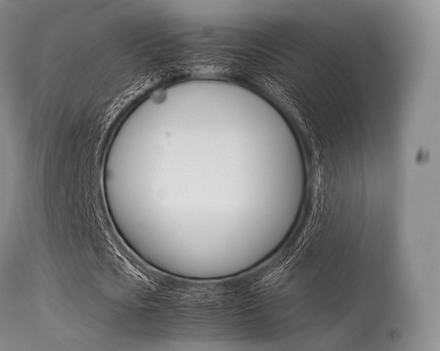 X0000113620721200909181115