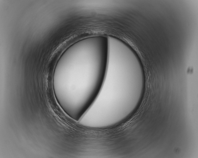 X0000113620722200909181115