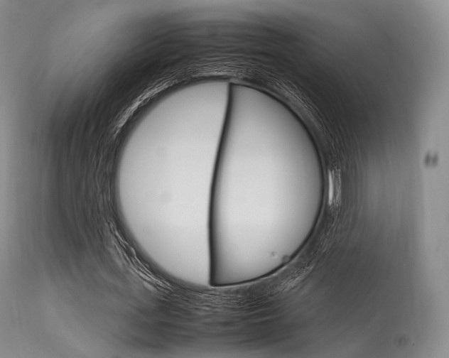 X0000113620723200909181115