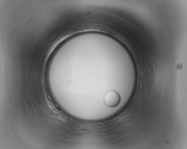 X0000113620724200909181115