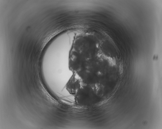 X0000113620725200909181115