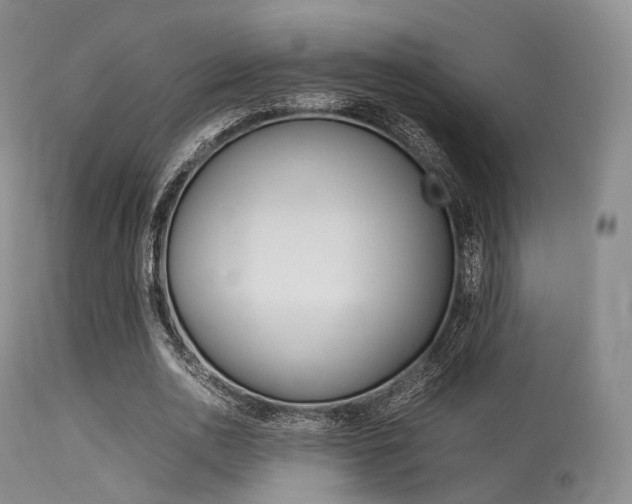 X0000113620726200909181115