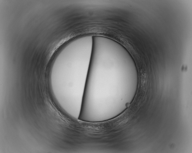 X0000113620727200909181115