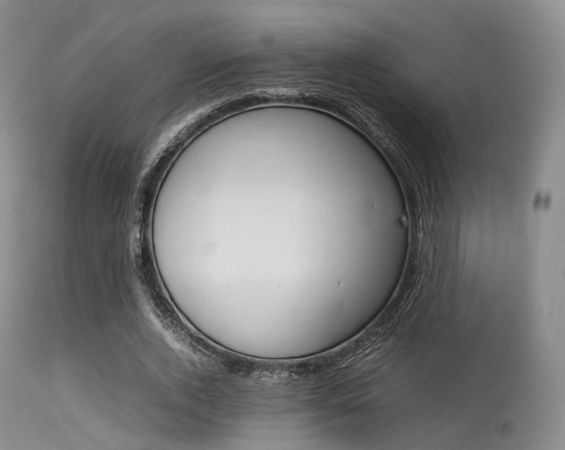 X0000113620728200909181115