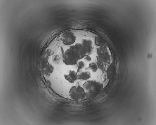 X0000113620729200909181115