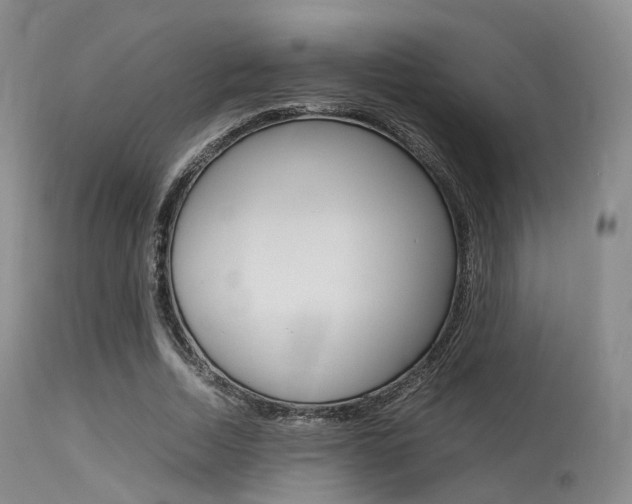 X0000113620730200909181115