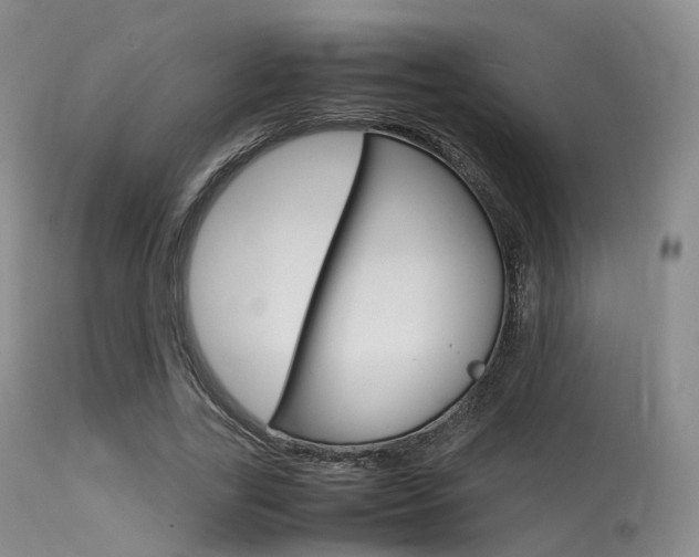 X0000113620731200909181115