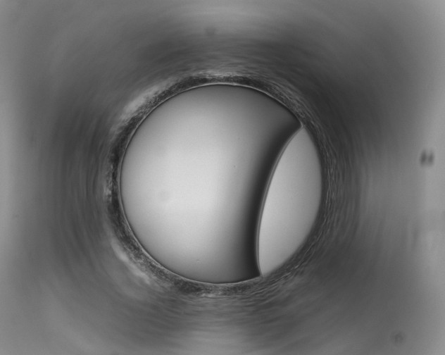 X0000113620732200909181115