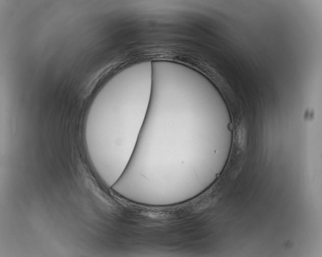 X0000113620733200909181115