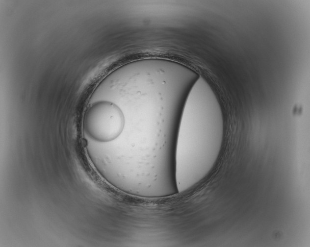 X0000113620734200909181115