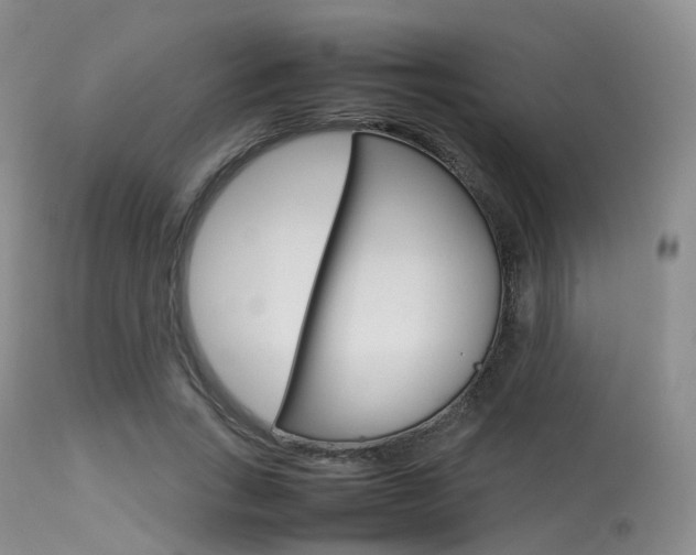 X0000113620735200909181115