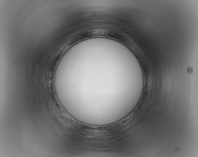 X0000113620737200909181115