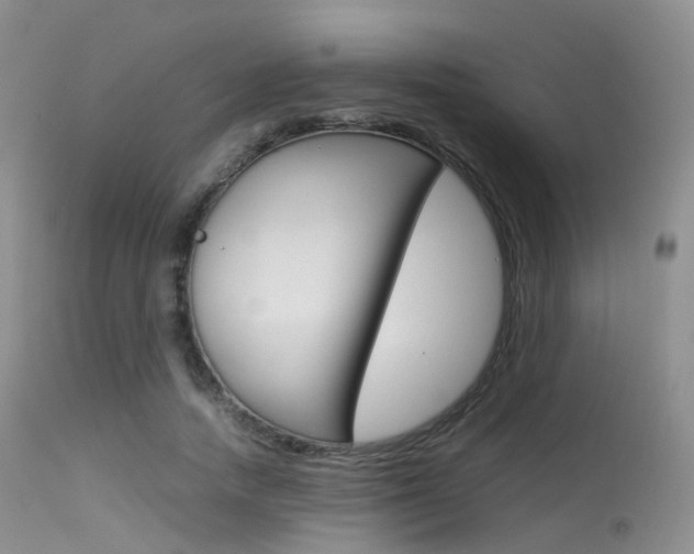 X0000113620738200909181115