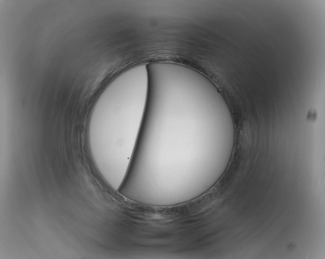 X0000113620739200909181115