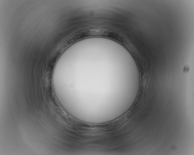 X0000113620741200909181115