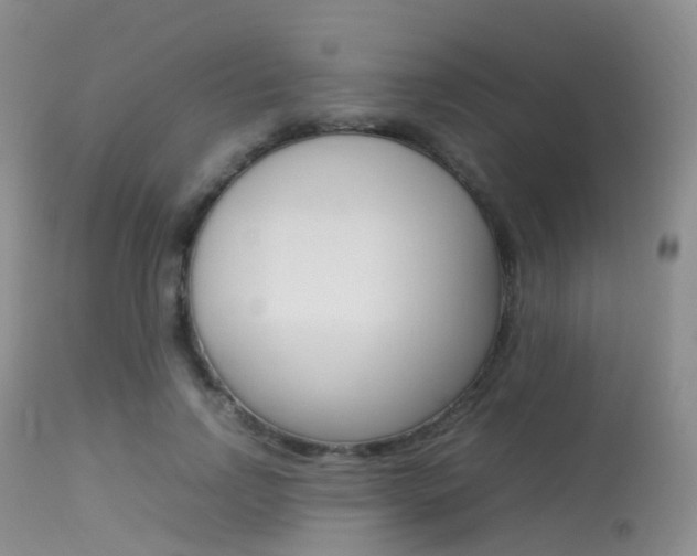 X0000113620742200909181115