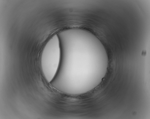 X0000113620743200909181115