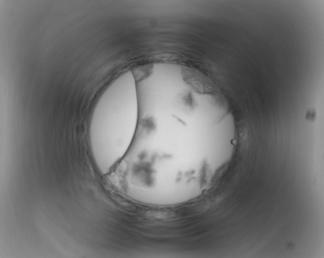 X0000113620745200909181115