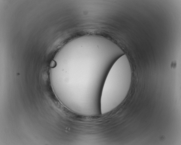 X0000113620746200909181116