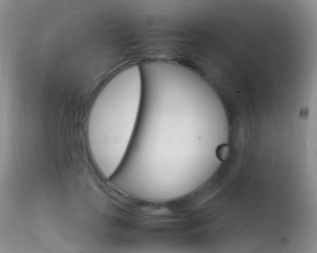 X0000113620747200909181116