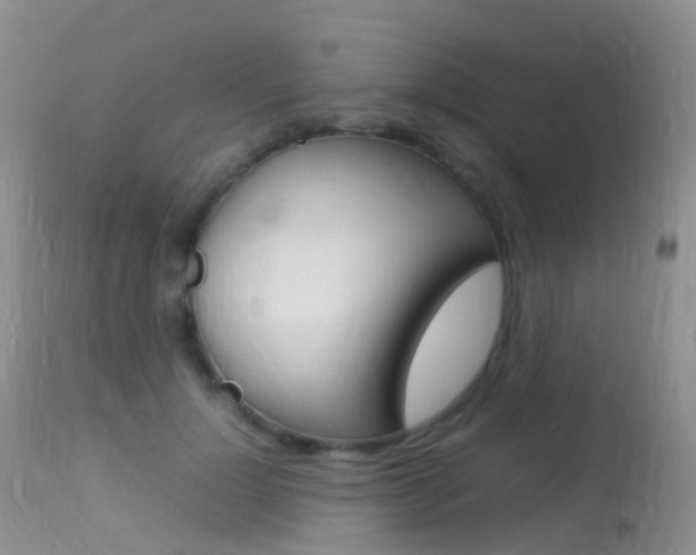 X0000113620748200909181116