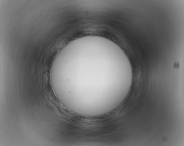 X0000113620749200909181116