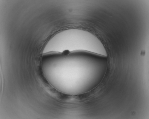 X0000113620750200909181116