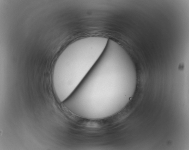 X0000113620751200909181116