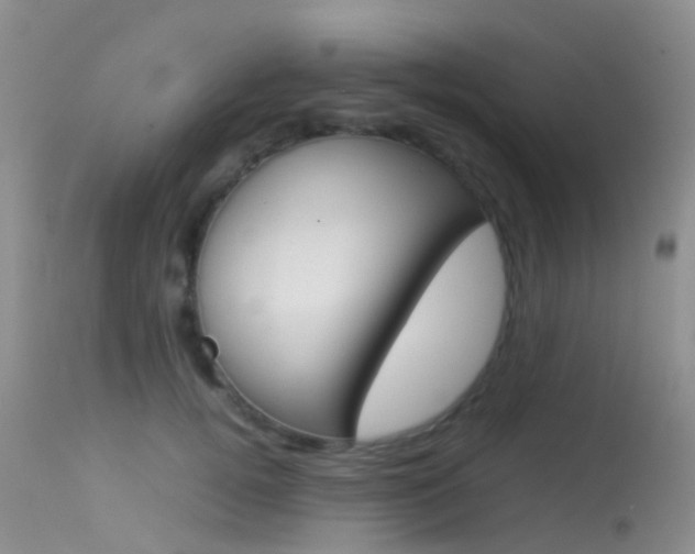 X0000113620752200909181116