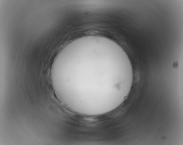 X0000113620753200909181116