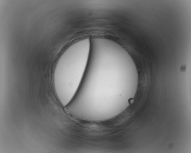 X0000113620755200909181116