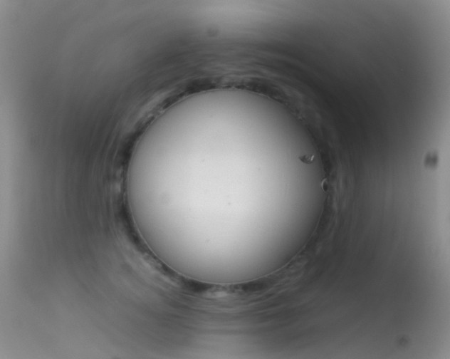 X0000113620756200909181116