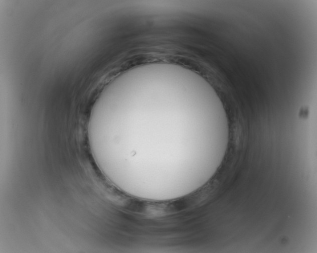 X0000113620757200909181116