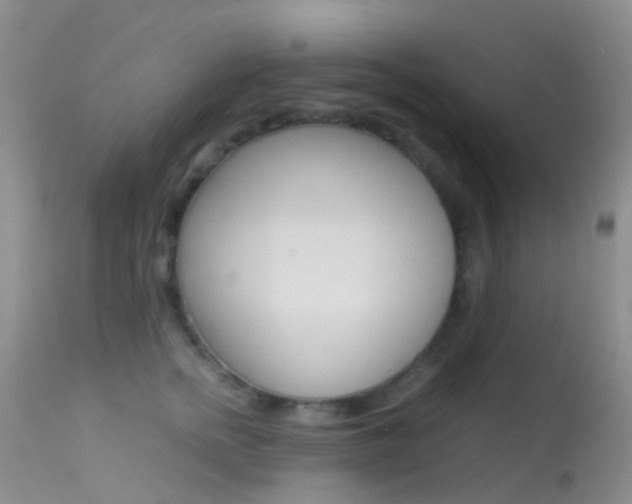 X0000113620758200909181116