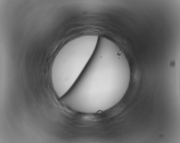 X0000113620759200909181116