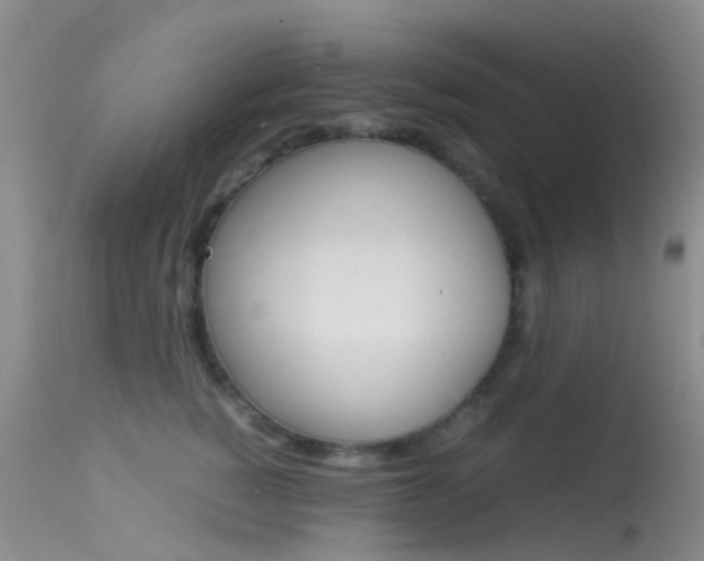 X0000113620760200909181116