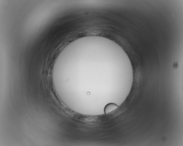 X0000113620761200909181116