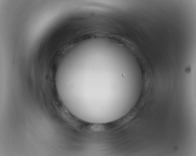 X0000113620762200909181116