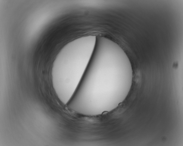 X0000113620763200909181116