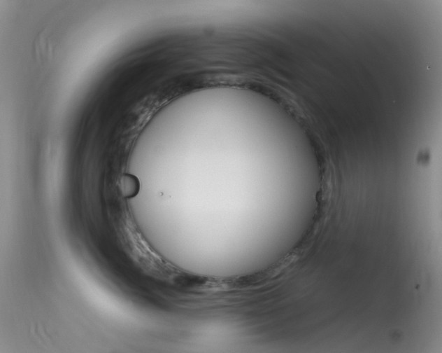 X0000113620764200909181116