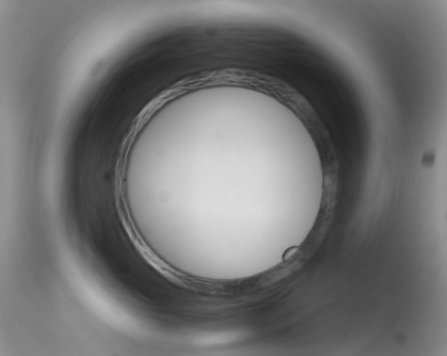 X0000113620765200909181116