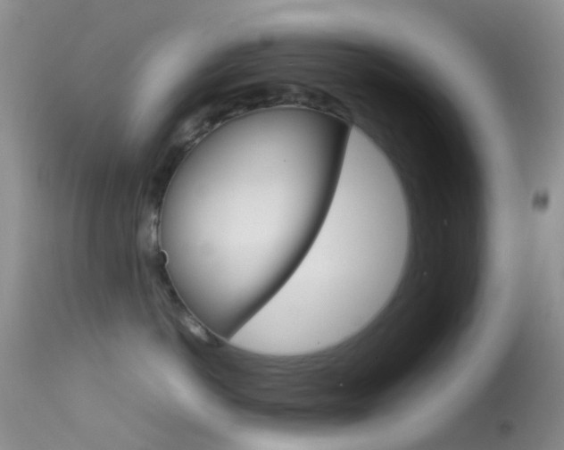 X0000113620766200909181116