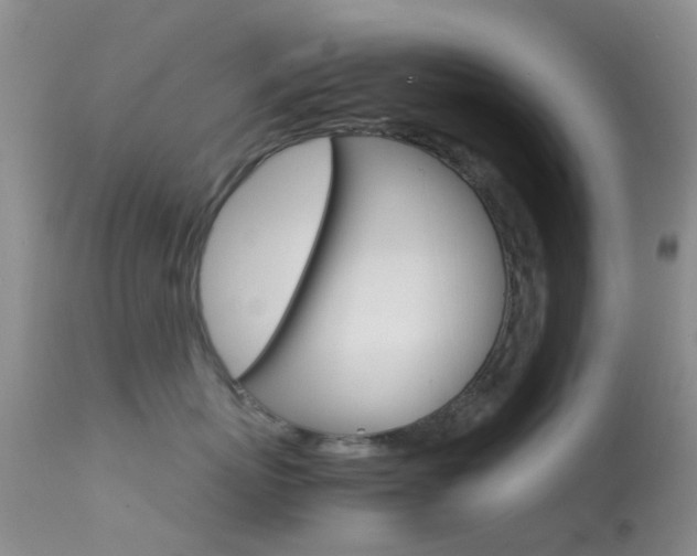 X0000113620767200909181116