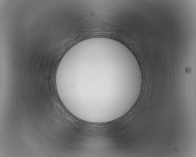 X0000113620768200909181116