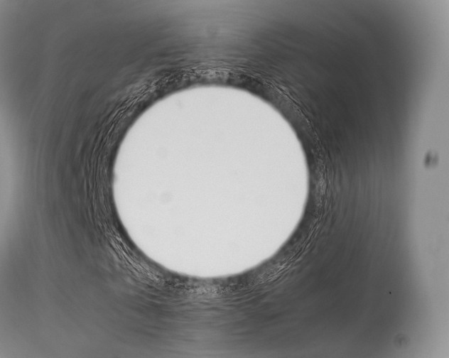 X0000113620769200909181115