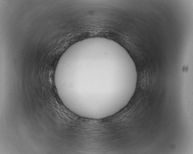 X0000113620770200909181115